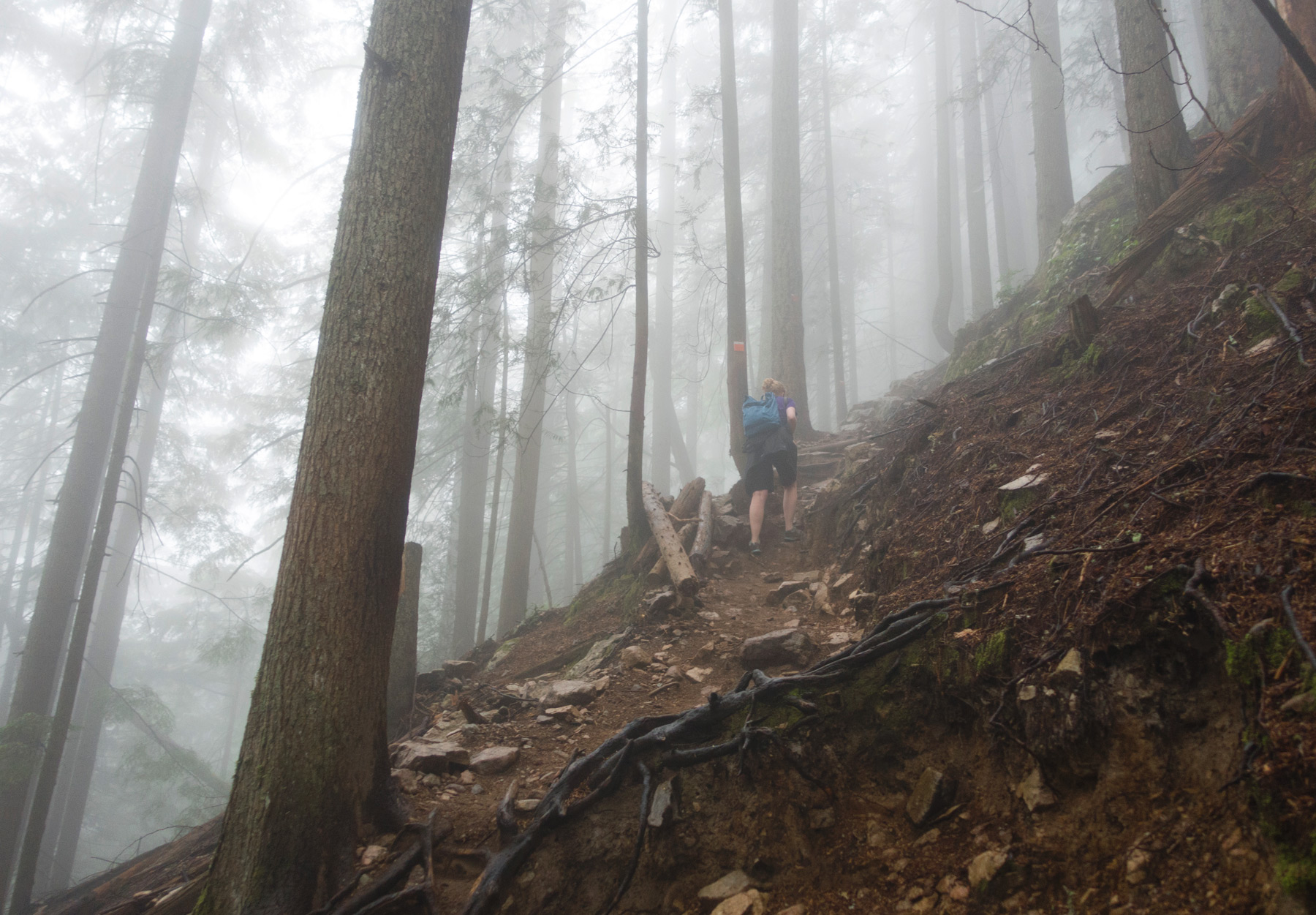 Hiking in the mist