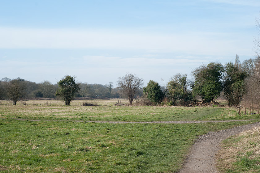 Open space at Bishop's Meadow