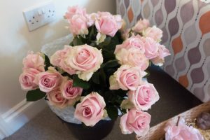 Sweet avalanche roses