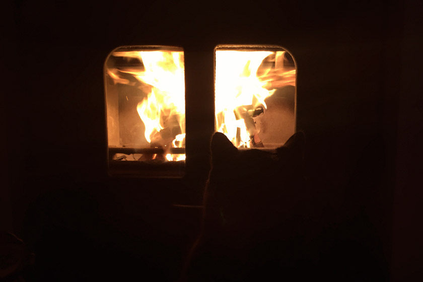 Cat in front of fire