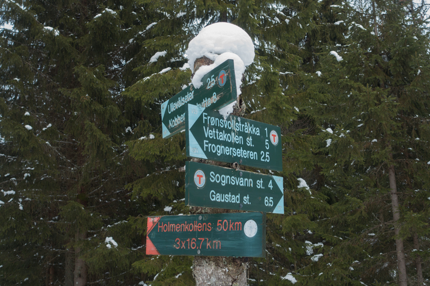 Forest trail sign