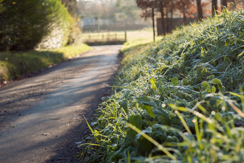 Frosty lane in the sunshine