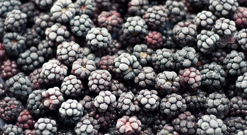 Frozen blackberries