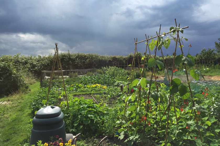 Dark clouds over allotment