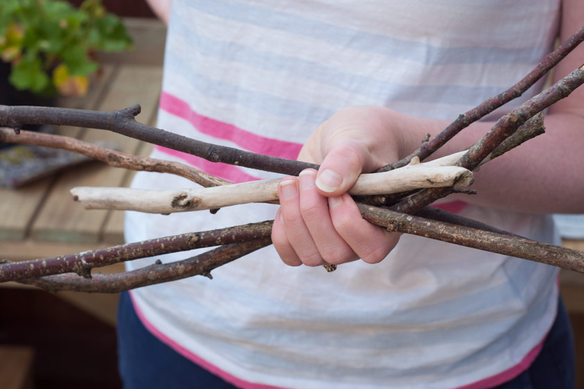 Handful of sticks