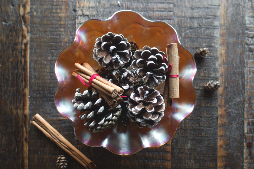 Bowl of pinecones and cinnamon