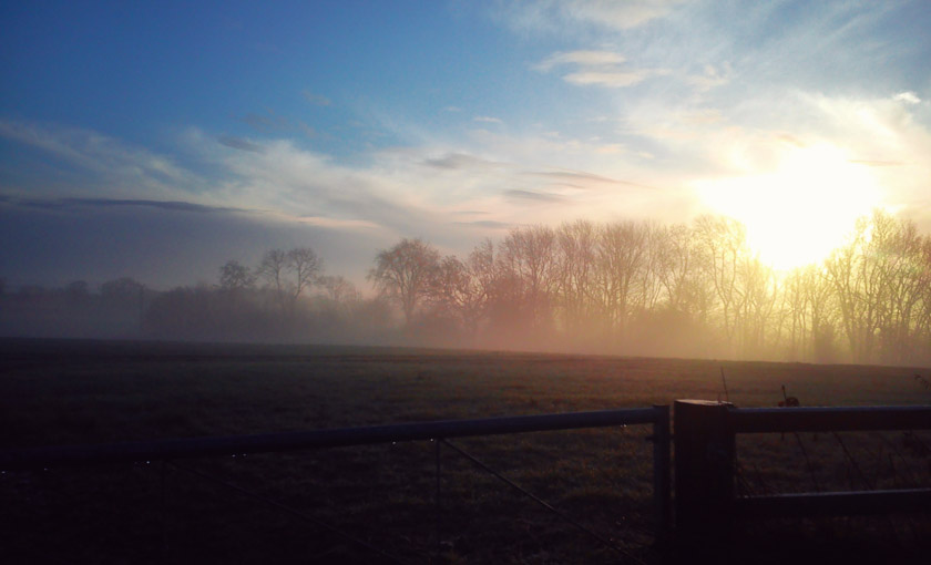 Sun rising over fields