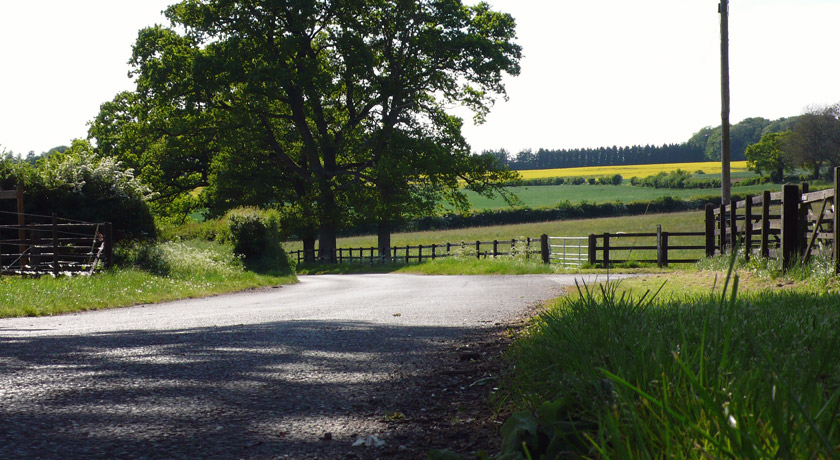 Country lane in Medstead
