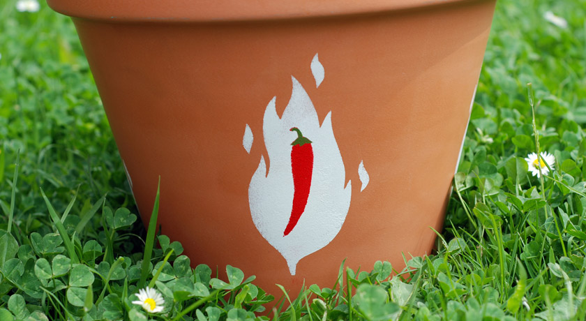 Terracotta pot with hand painted chilli design