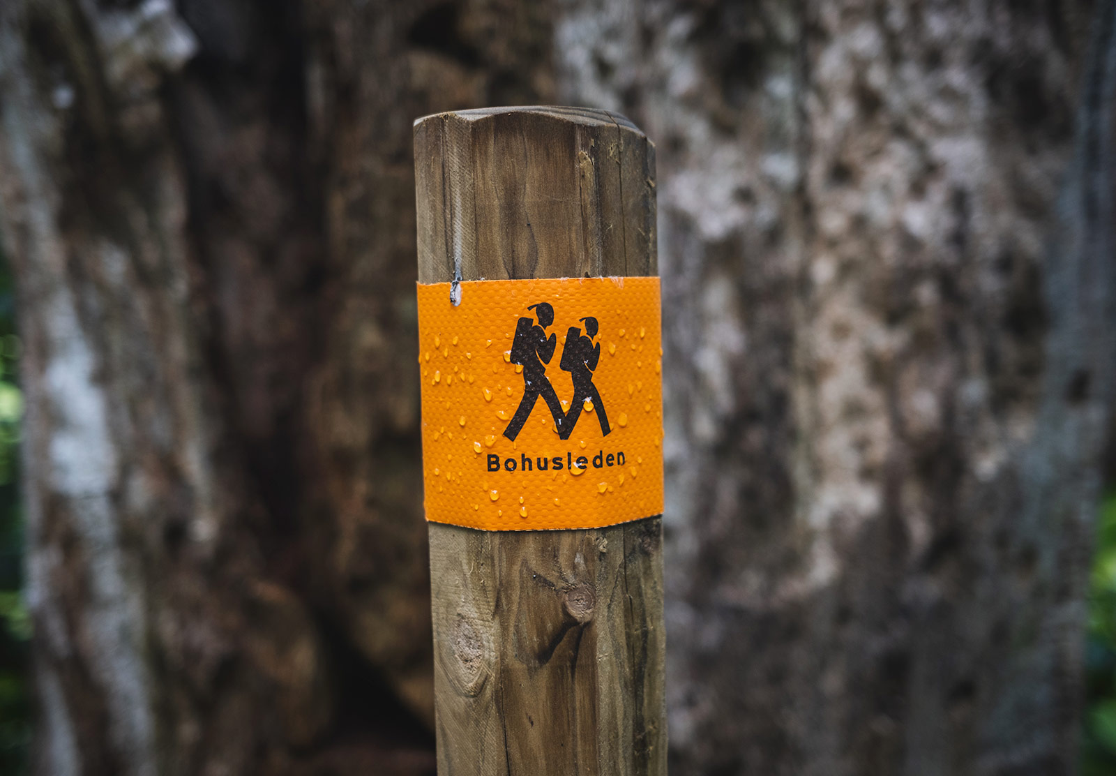 Trail marker on wooden post