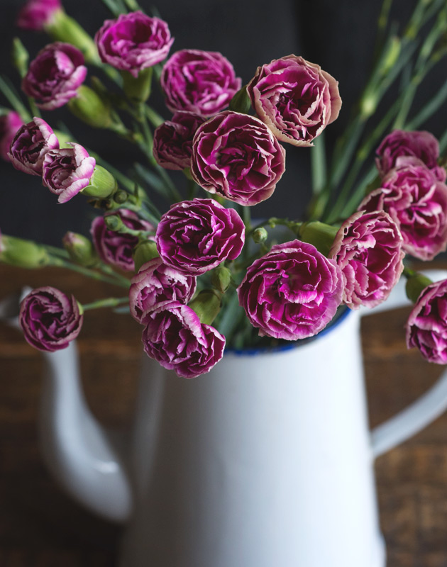 Carnations in enamelware teapot