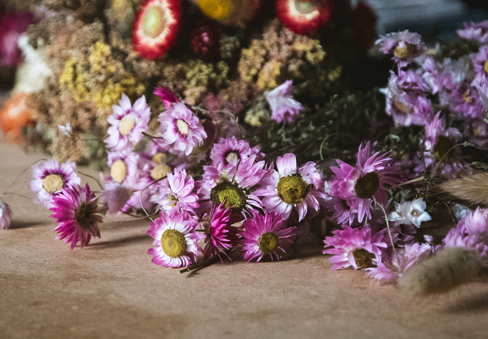 Dried pink flowers