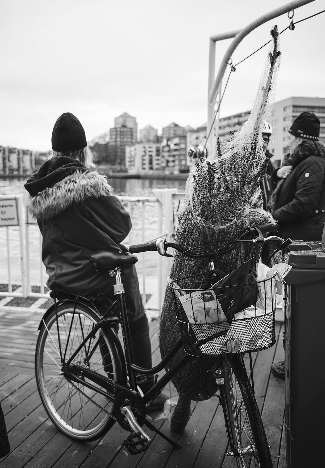 Christmas tree on bike