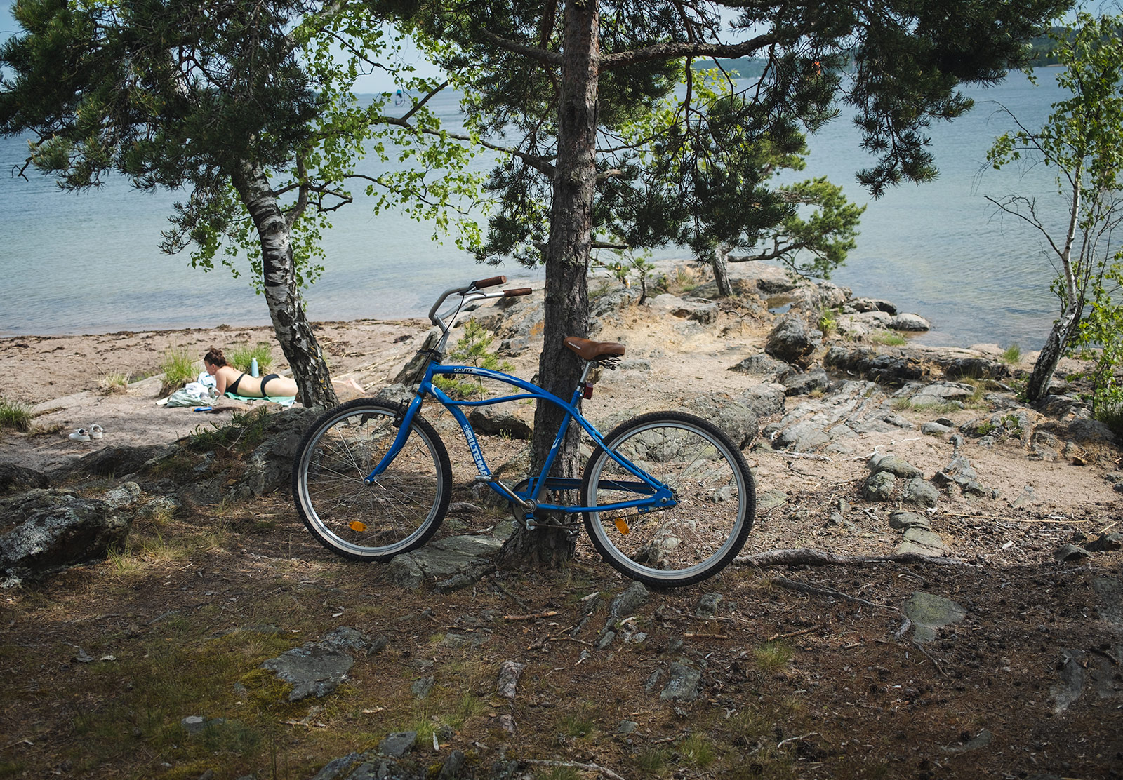 Bike resting on tree