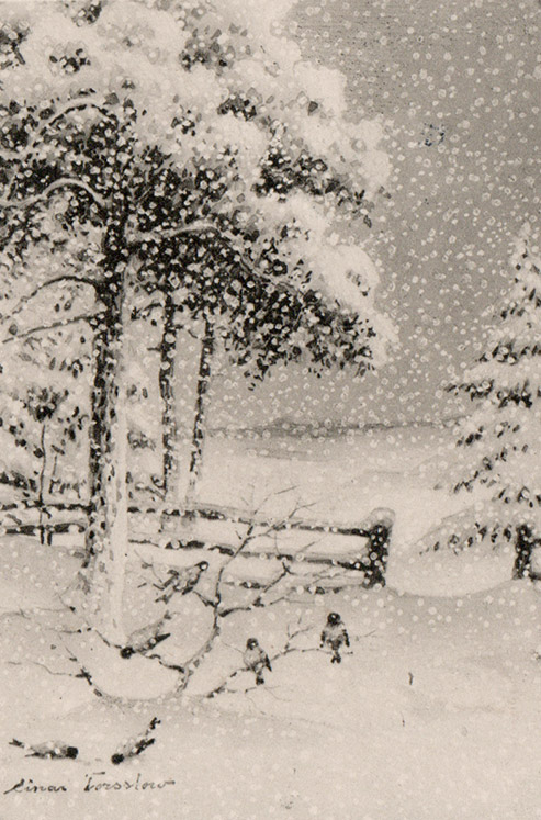 Forest snow scene