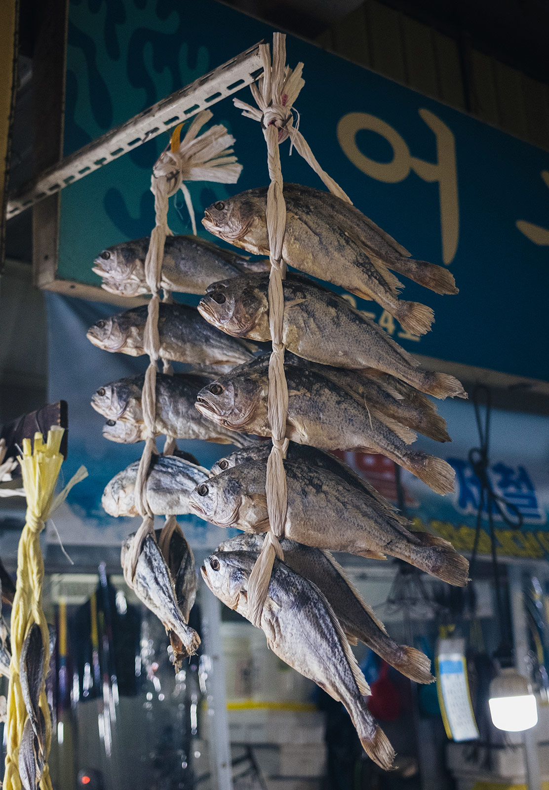 Hanging fish tied together