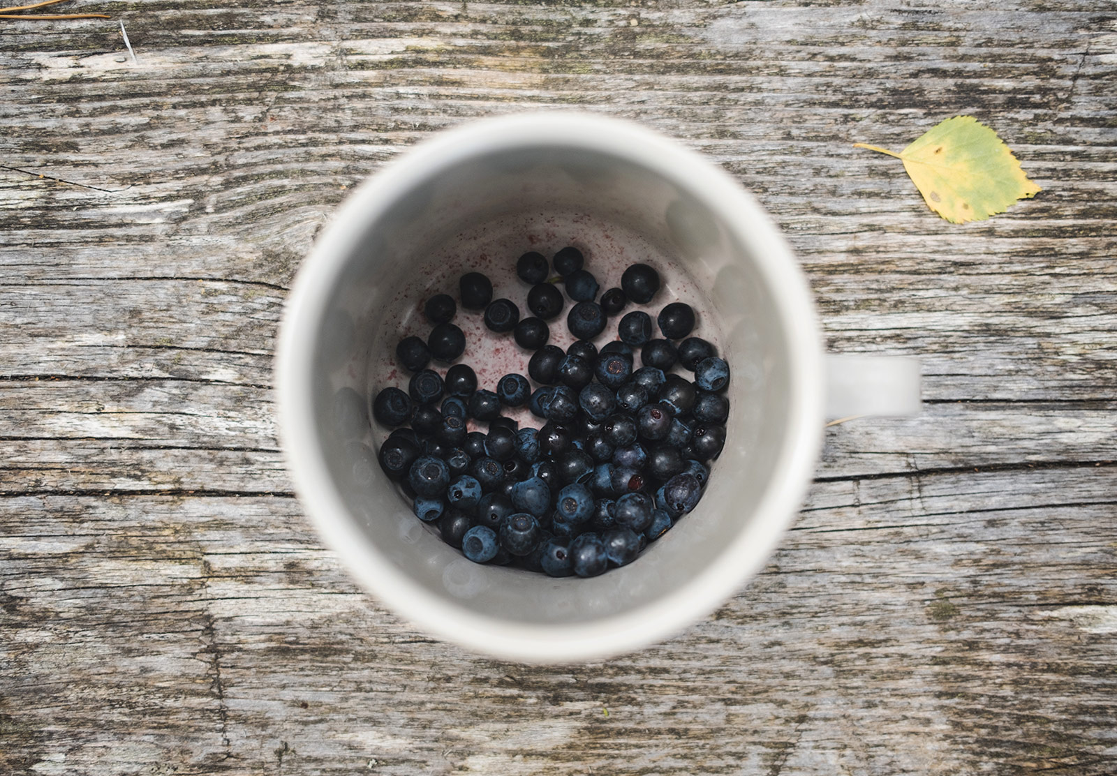 Cup of blueberries