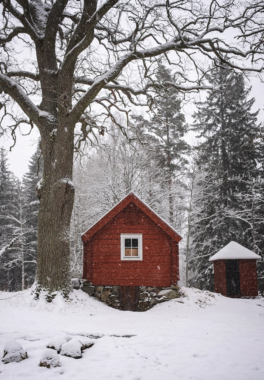 Red wooden house in the snow