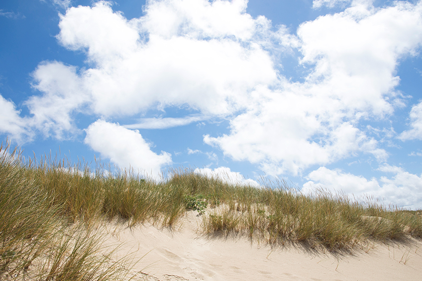 Sand dunes and blue skies
