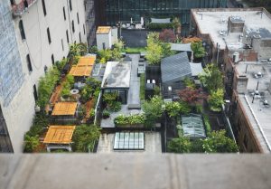 Green roof garden