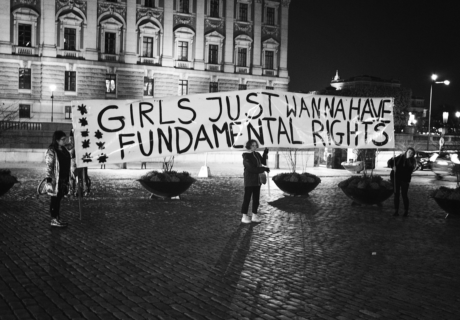 "Girls just wanna have fundamental rights" banner
