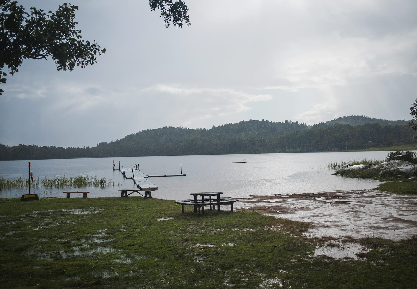 Lake and waterlogged ground