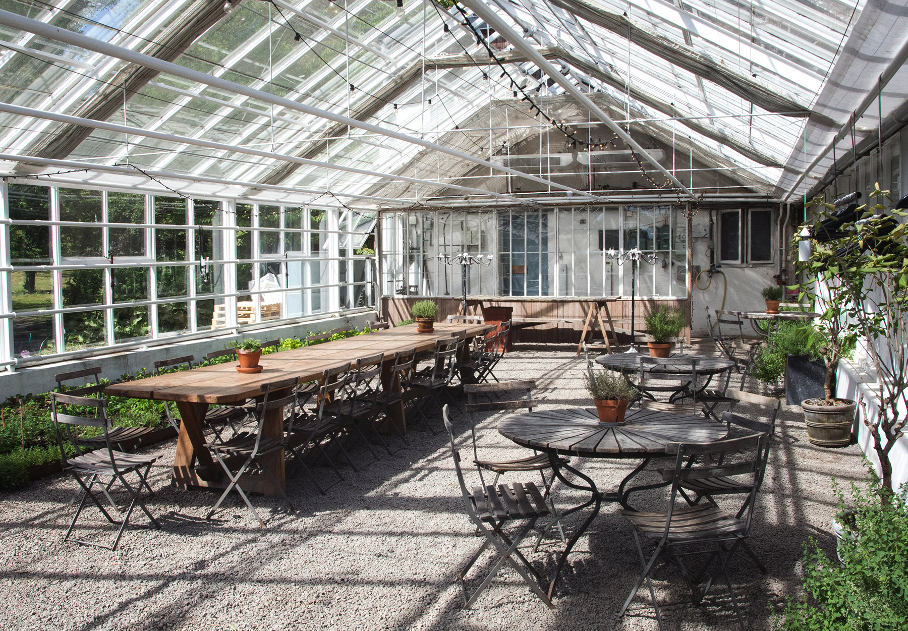 Tables in greenhouse