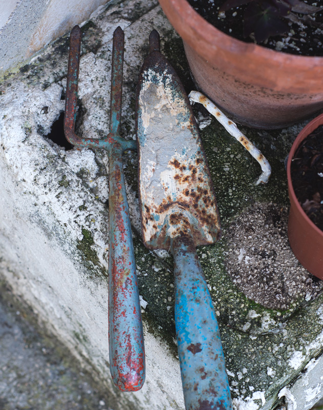 Rusty trowel and garden fork