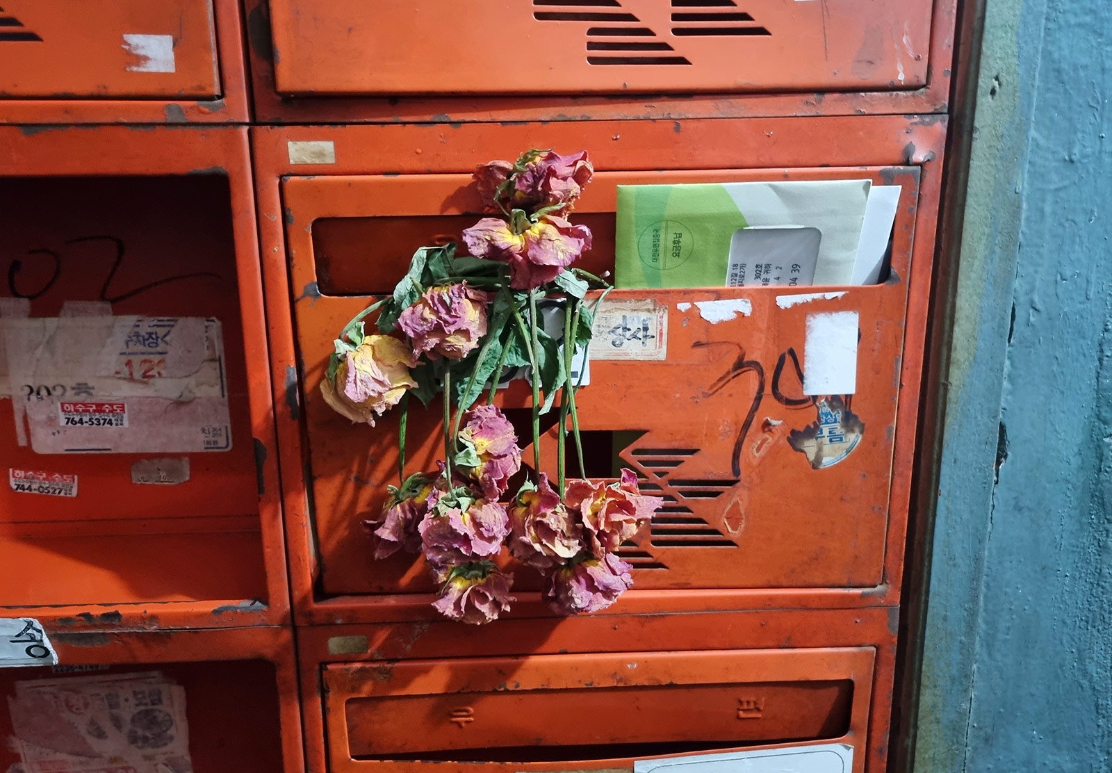 Dead flowers hanging out of postbox
