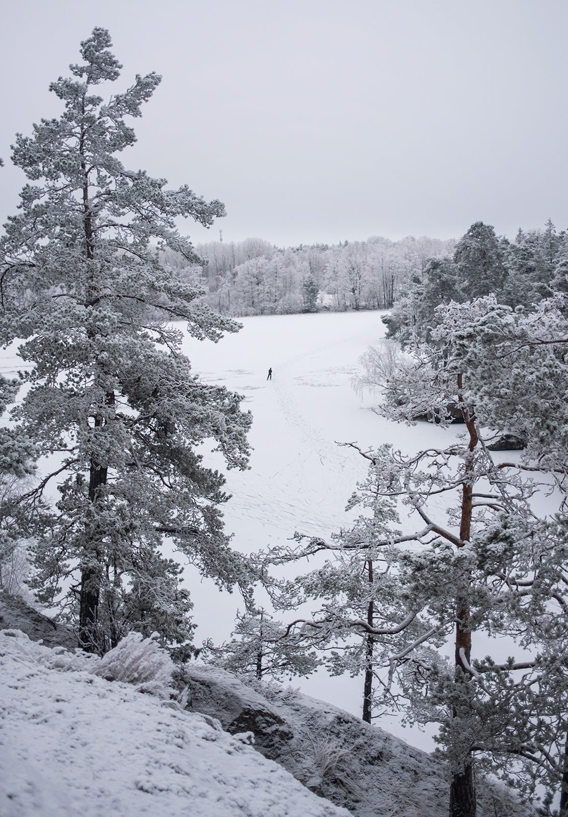 View of frozen lake through trees