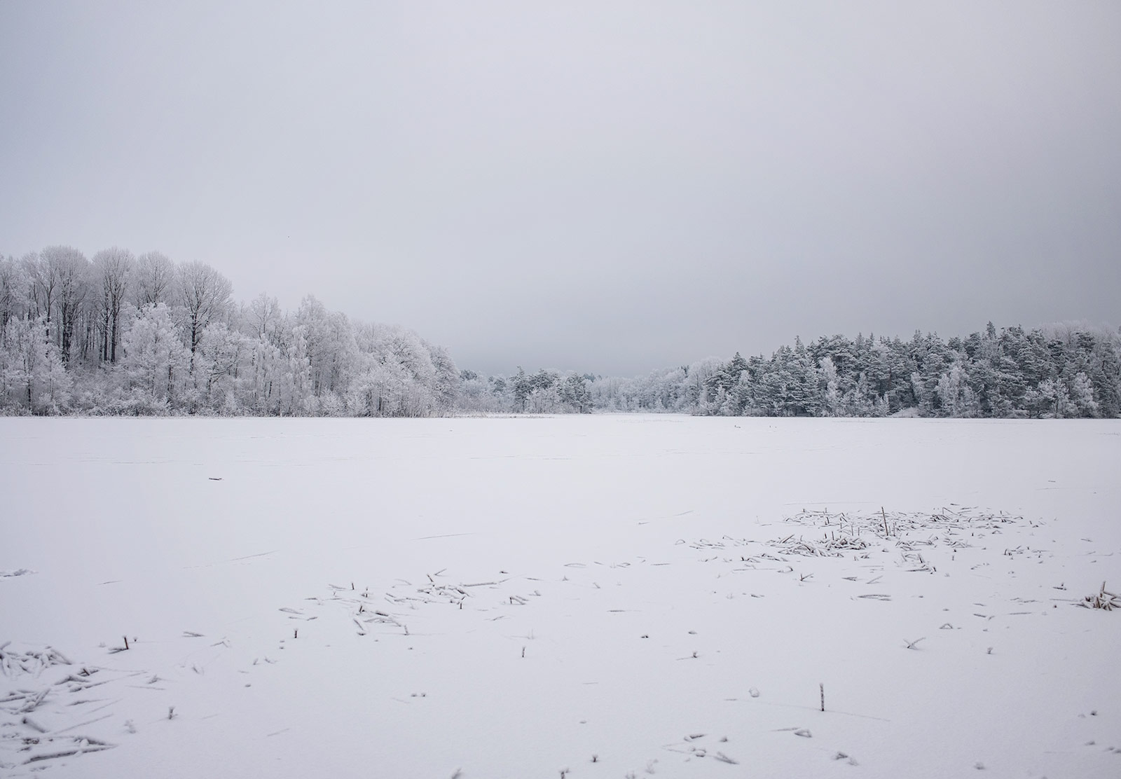 Large lake covered in snow