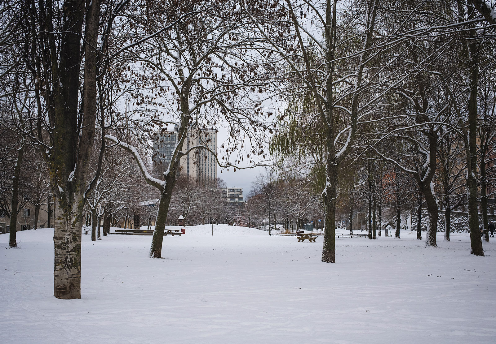 Snow covered park