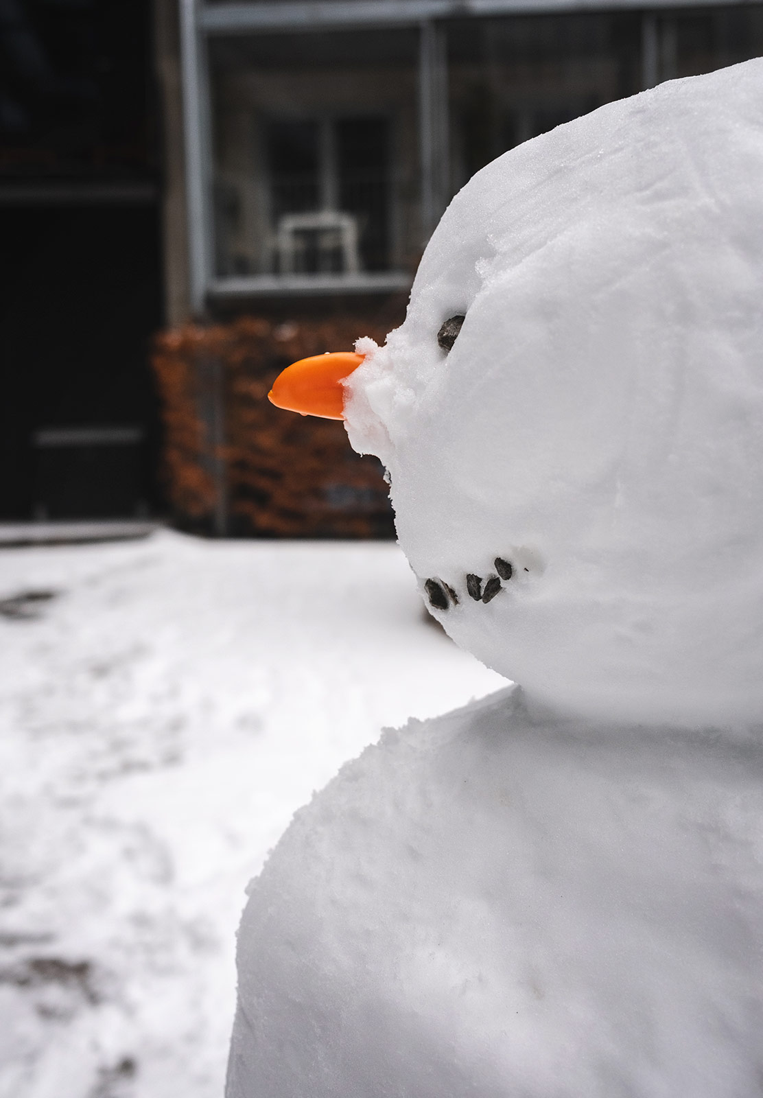 Snowman with orange nose