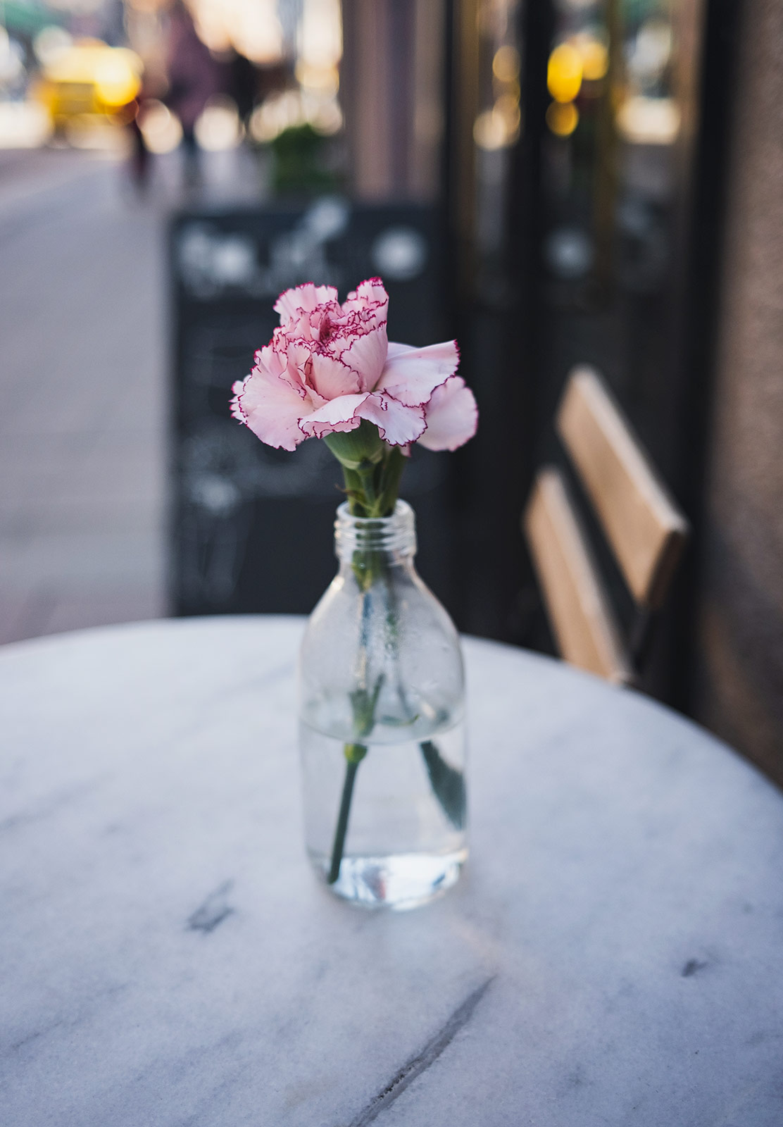 Single flower in small vase