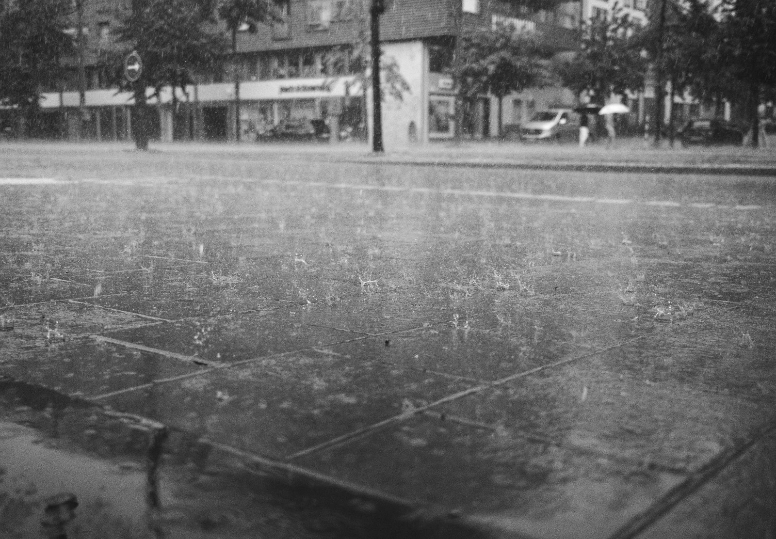 Rain on pavement