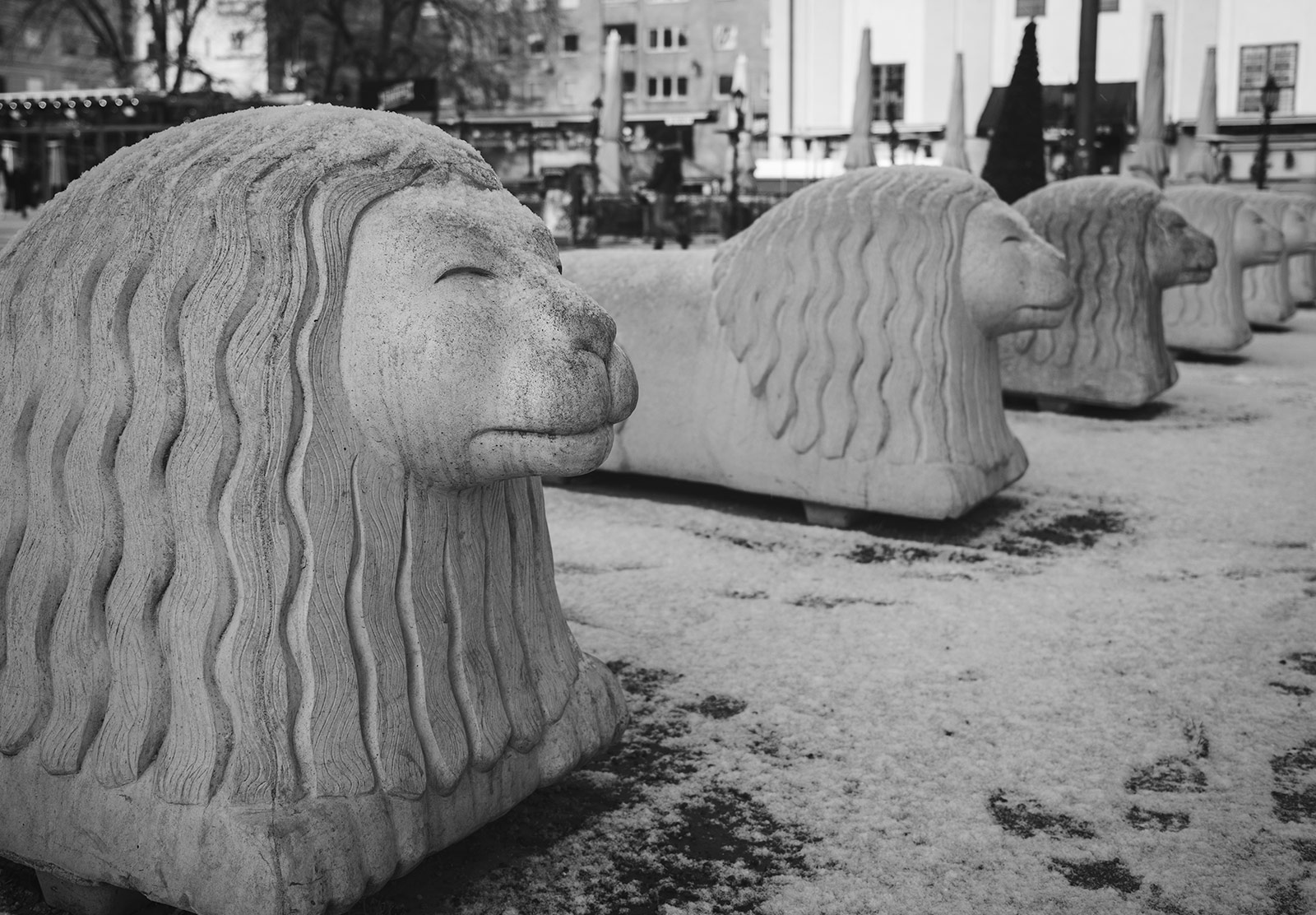 Row of concrete lions
