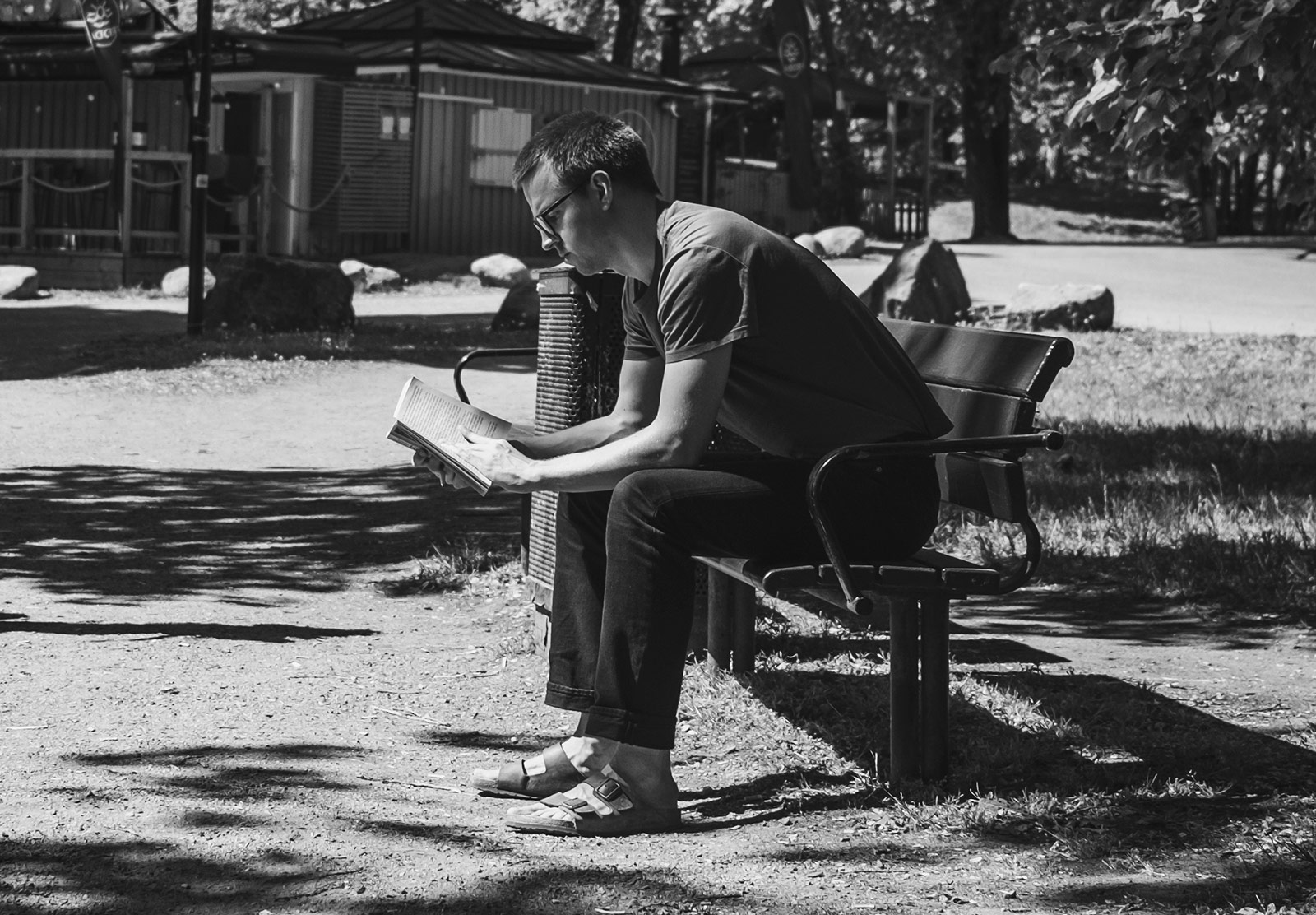 Man reading book on sunny bench