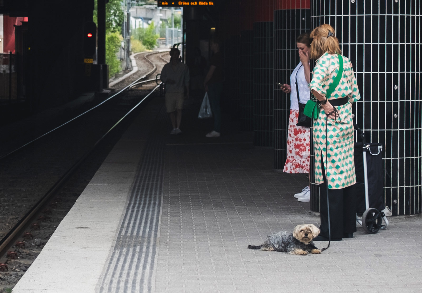 Dog sat on train platform