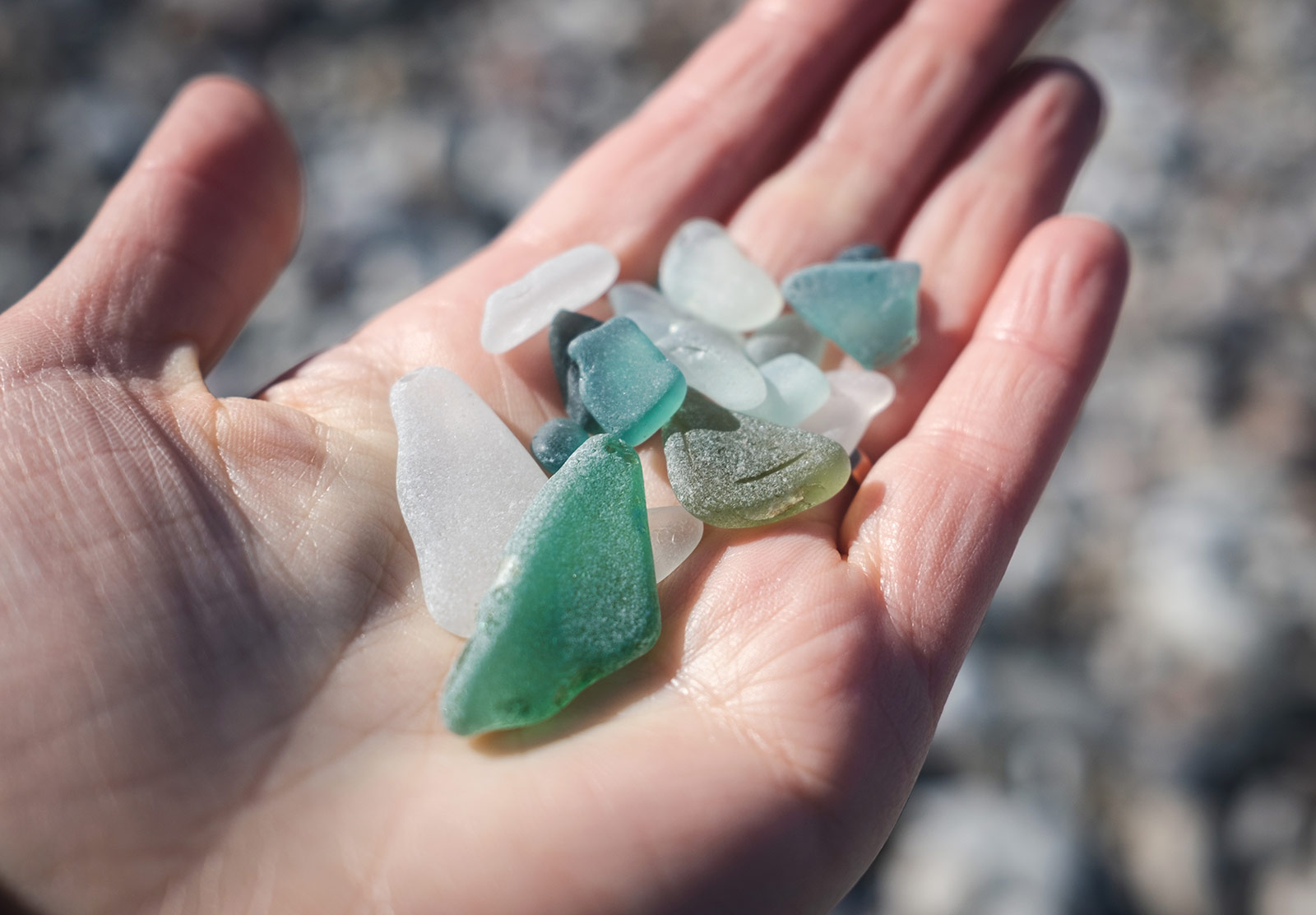 Handful of green glass pieces