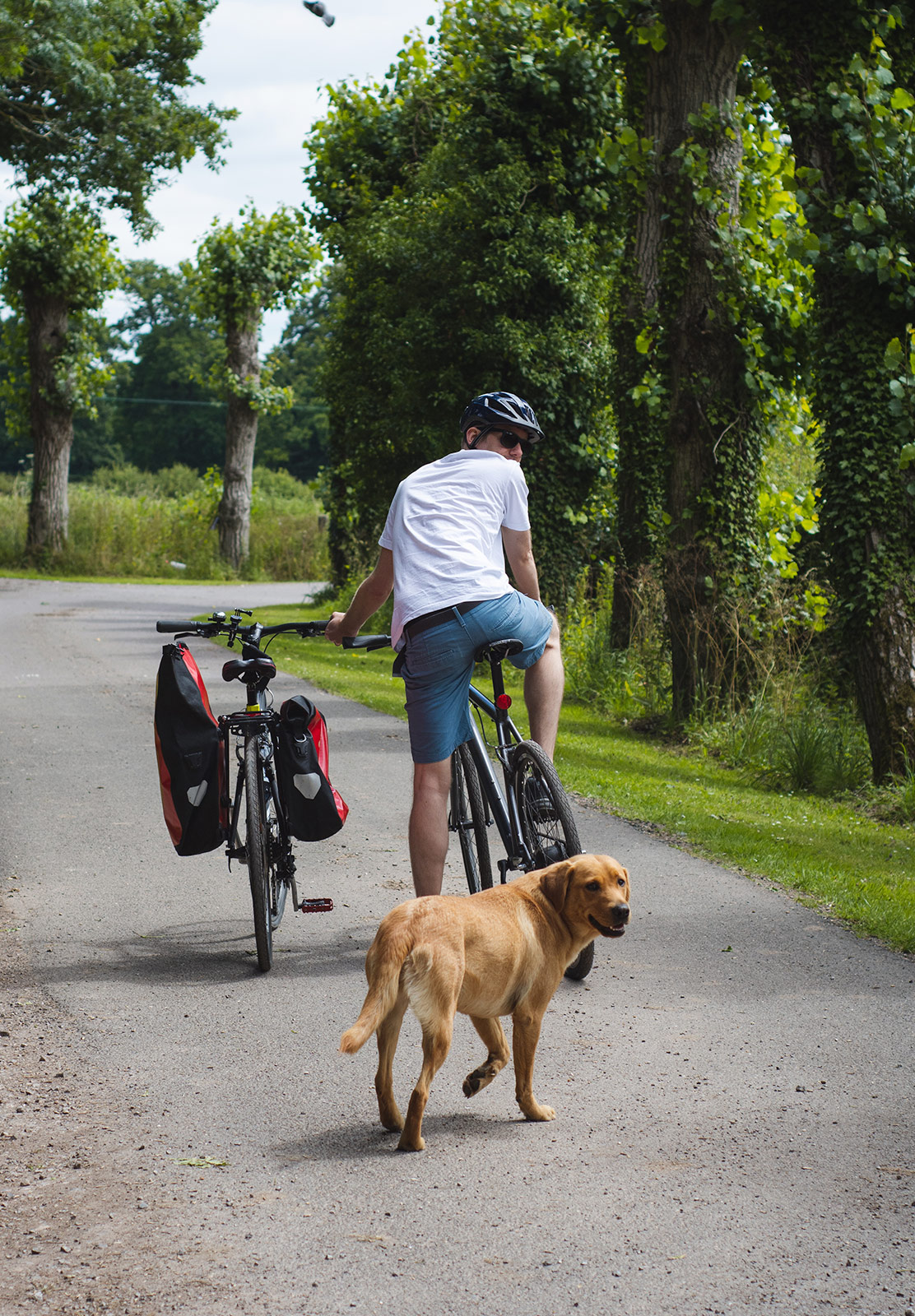 Dog with man on bike