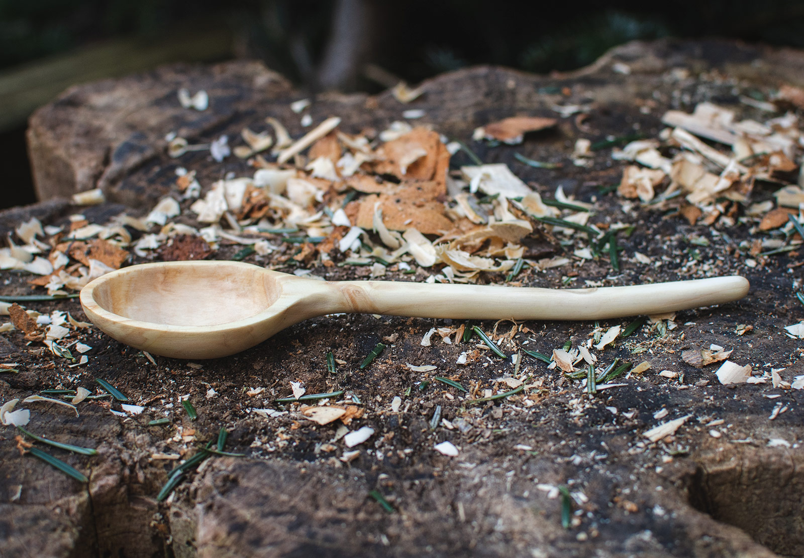 Wooden spoon laying down