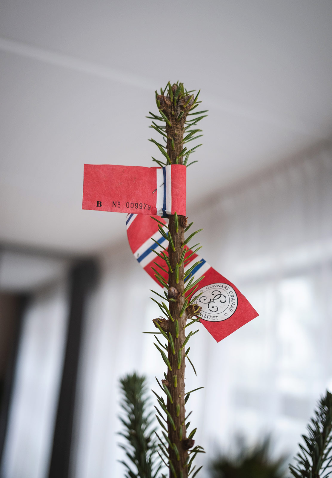 Norwegian flag tag